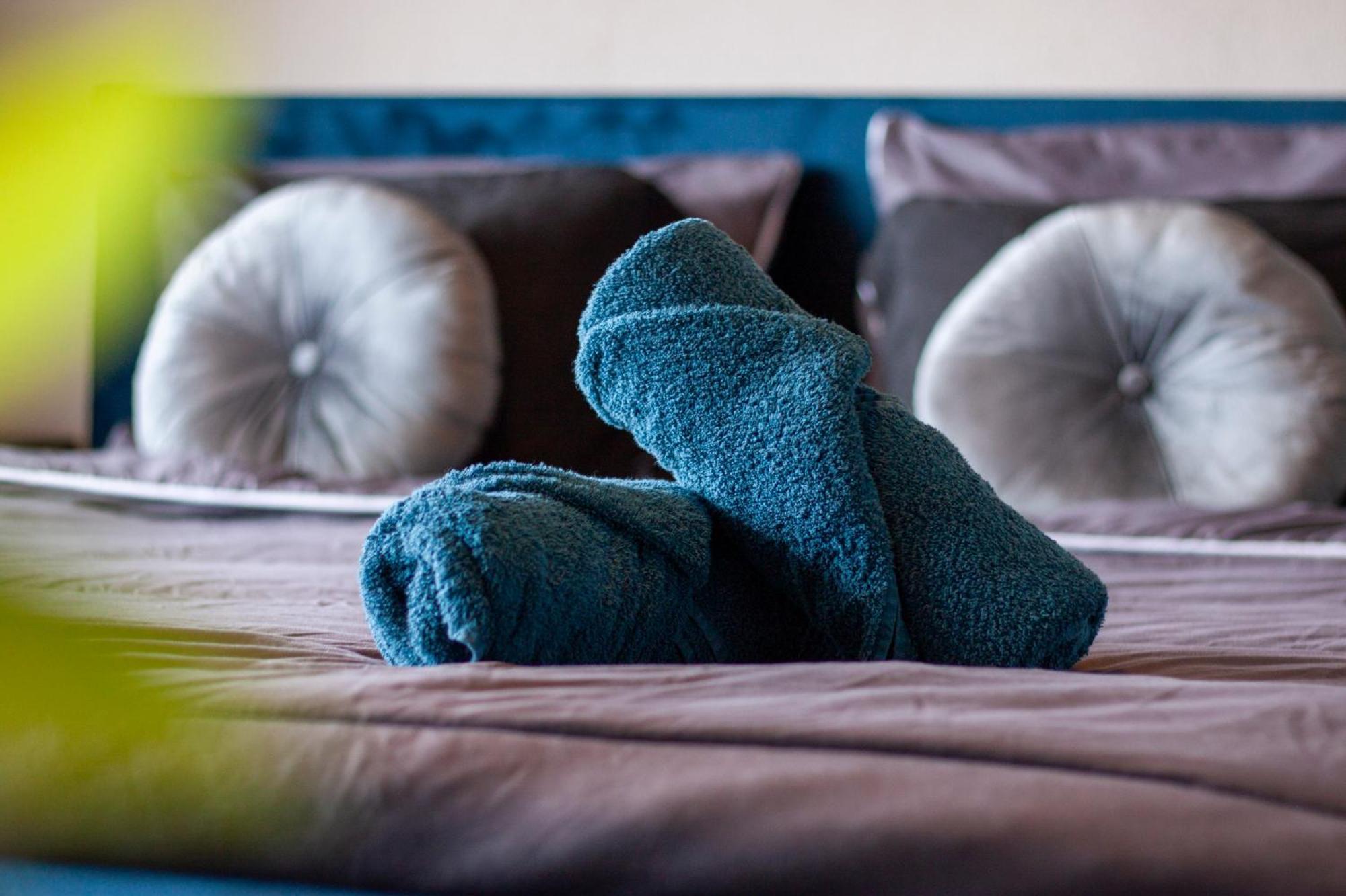 Cozy Daf Appartement